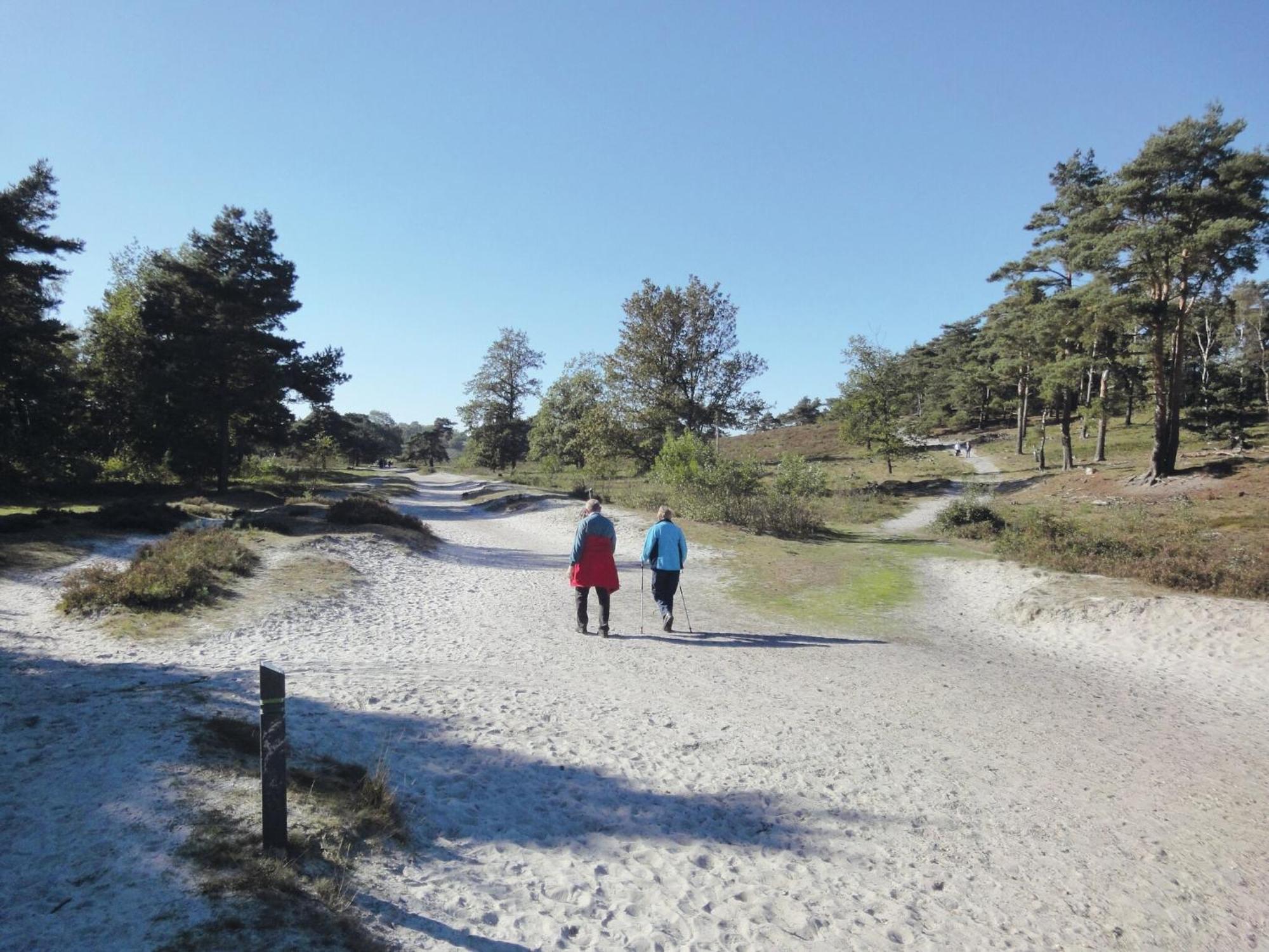 Modern holiday home near Brunssummerheide エクステリア 写真