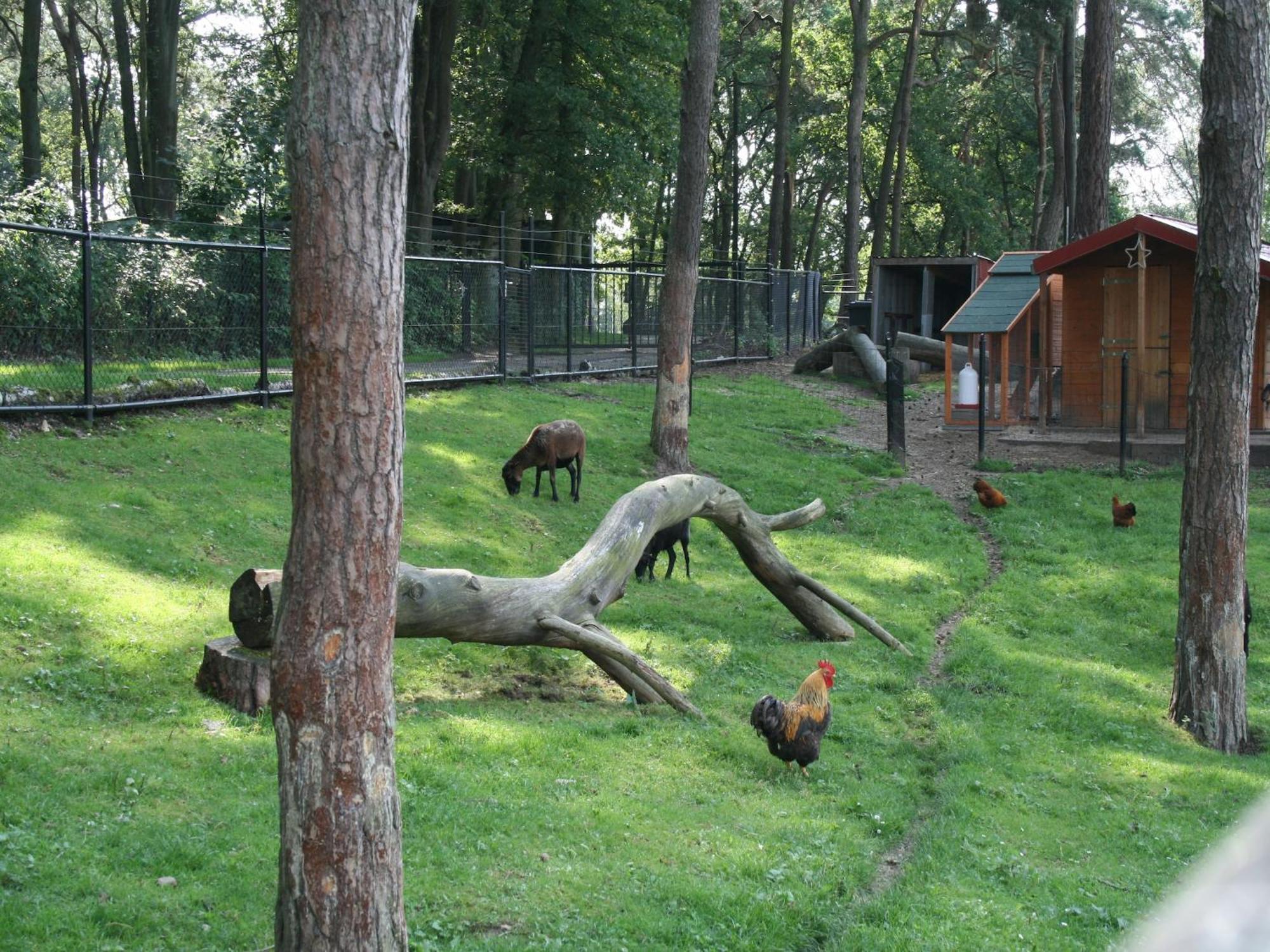 Modern holiday home near Brunssummerheide エクステリア 写真